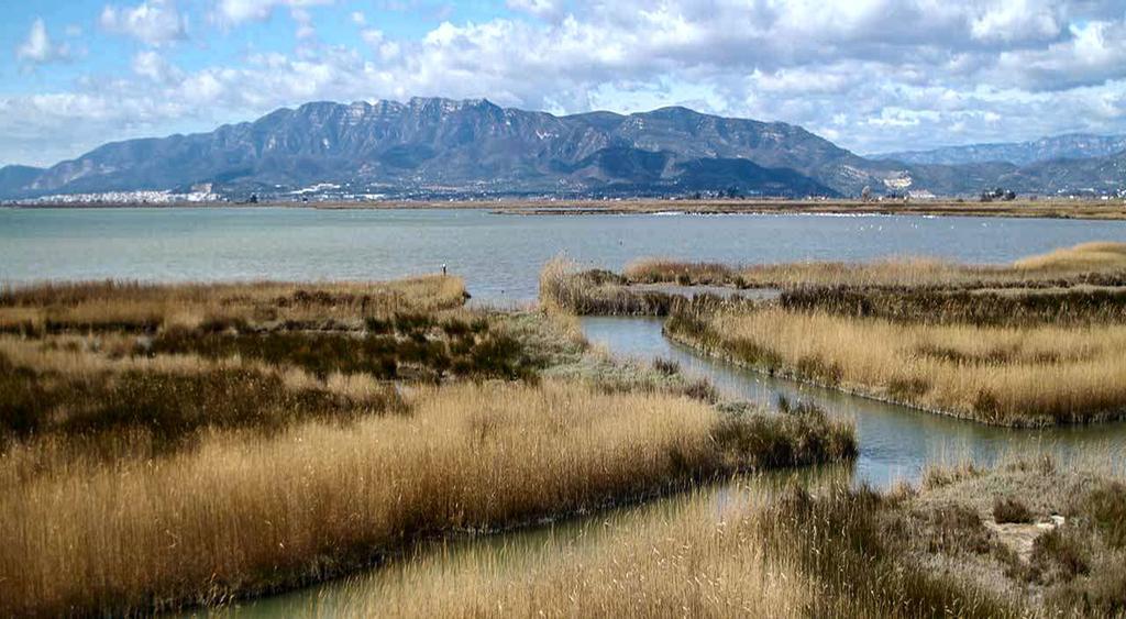Mi Apartamento En El Delta Del Ebro Дельтебре Экстерьер фото