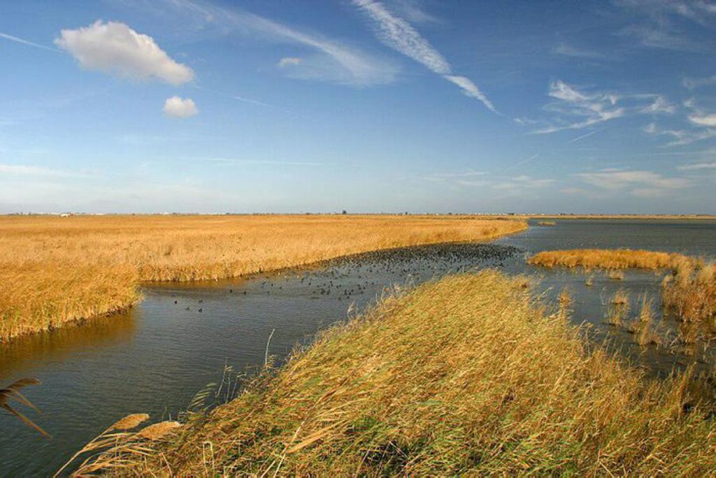 Mi Apartamento En El Delta Del Ebro Дельтебре Экстерьер фото