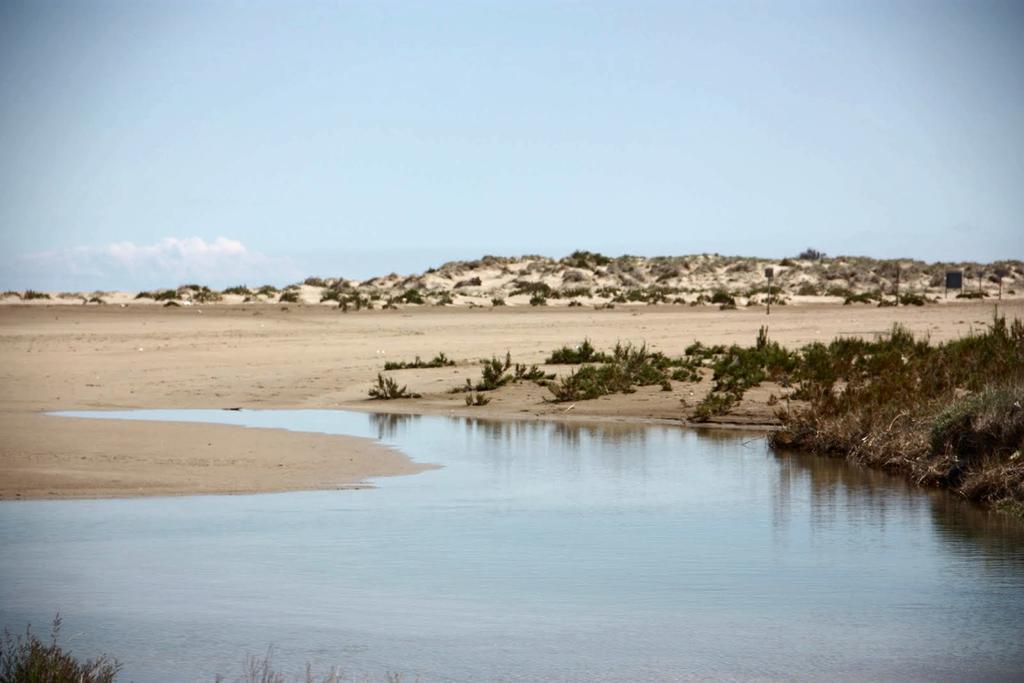 Mi Apartamento En El Delta Del Ebro Дельтебре Экстерьер фото