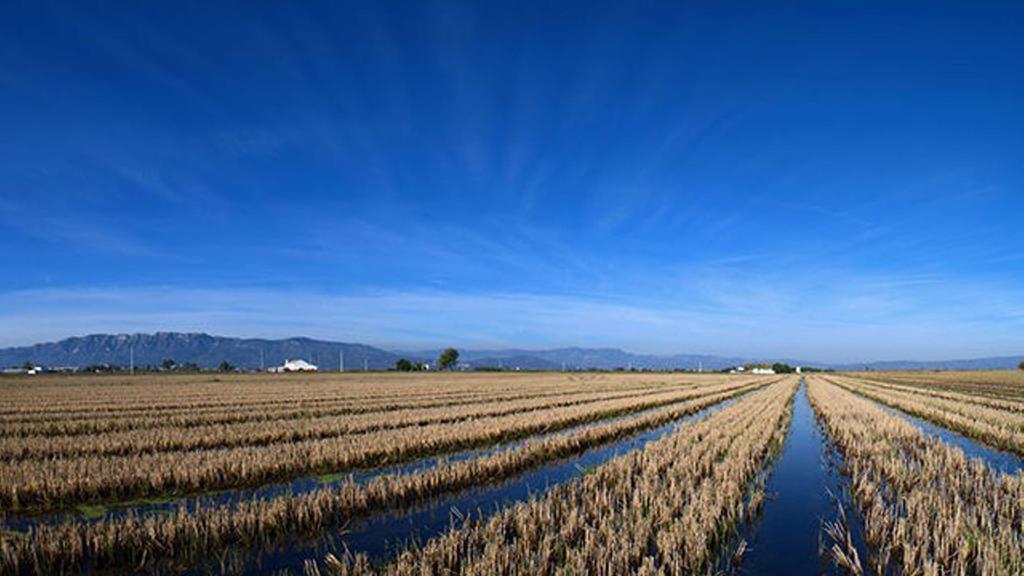 Mi Apartamento En El Delta Del Ebro Дельтебре Экстерьер фото