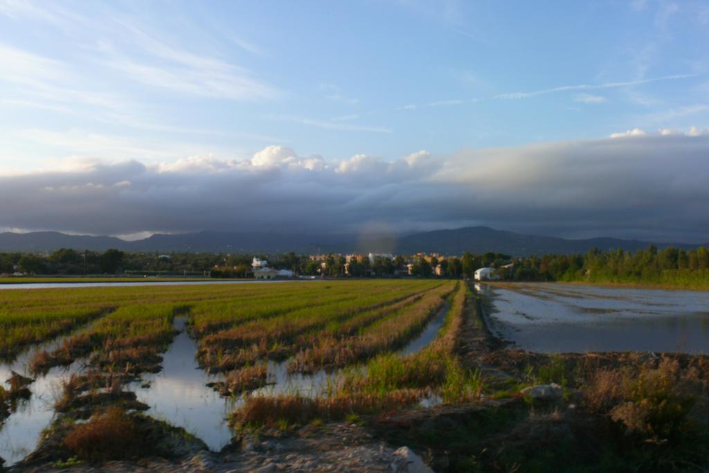 Mi Apartamento En El Delta Del Ebro Дельтебре Экстерьер фото